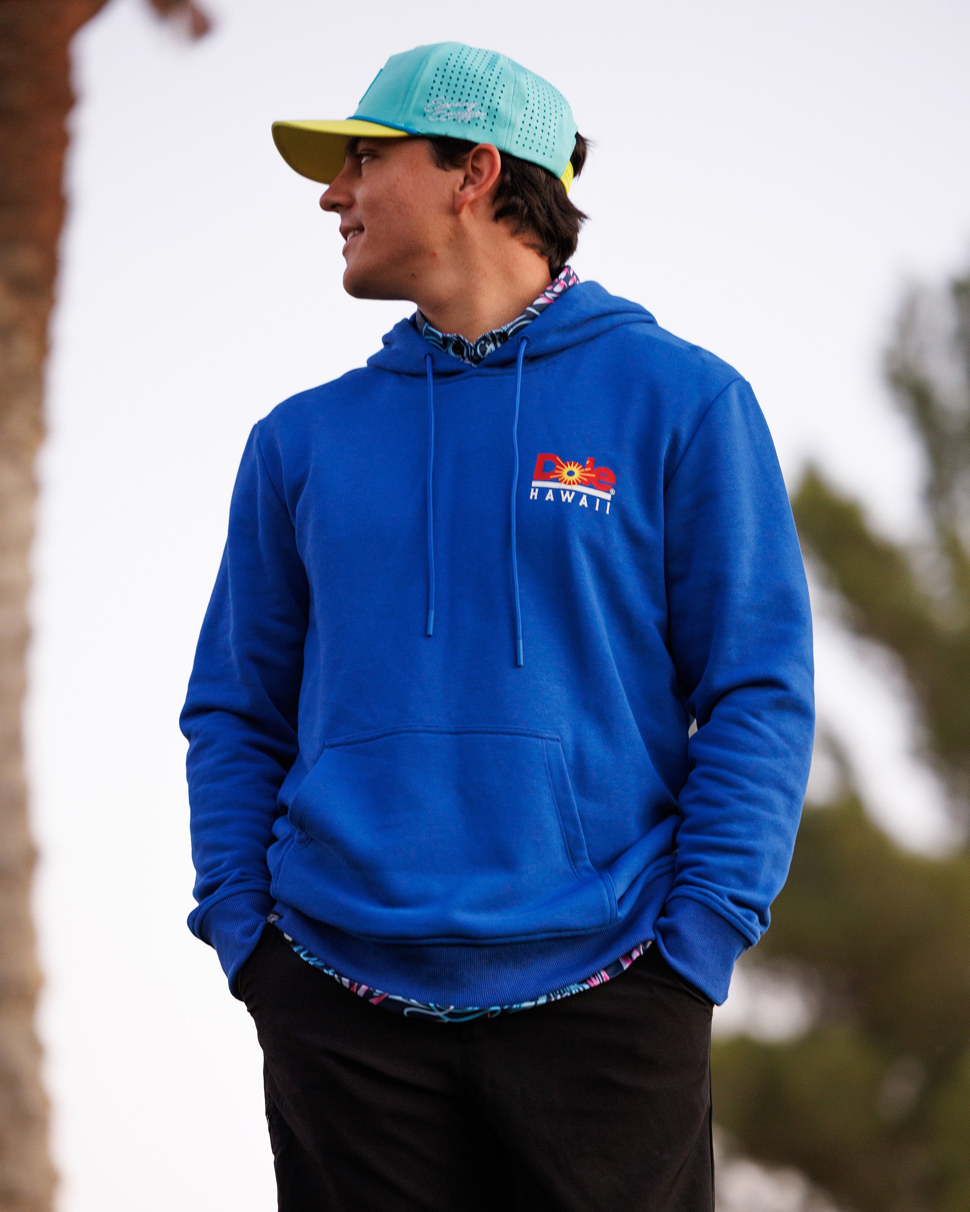 Hideaway | Dole® Comfort Hoodie