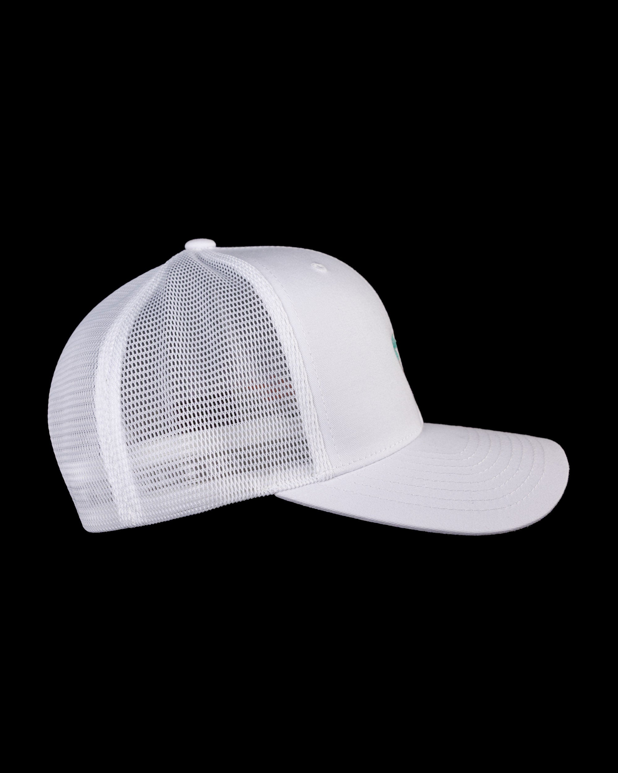 Palms Flexfit Snapback Hat - White