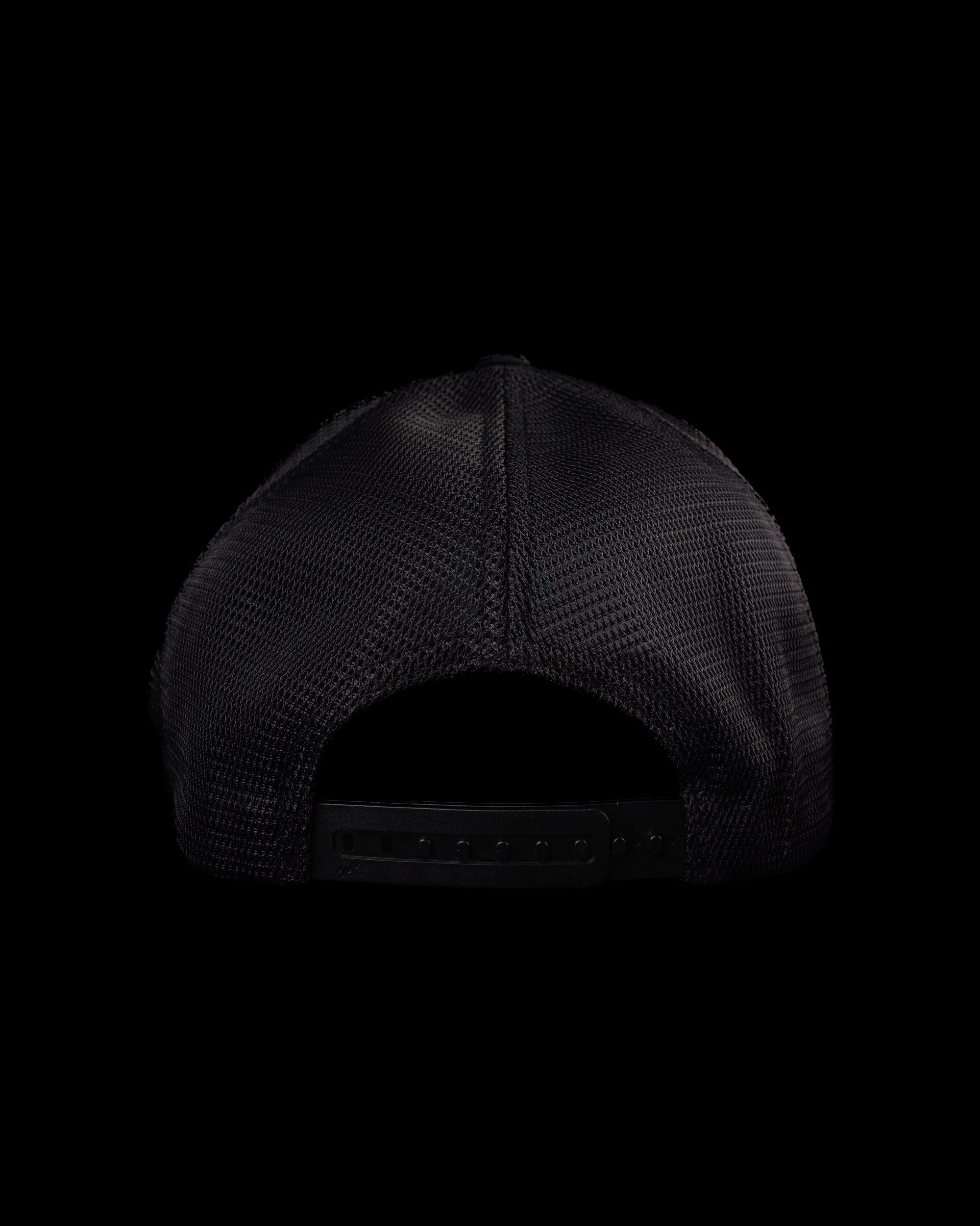 Palms Flexfit Snapback Hat - Black