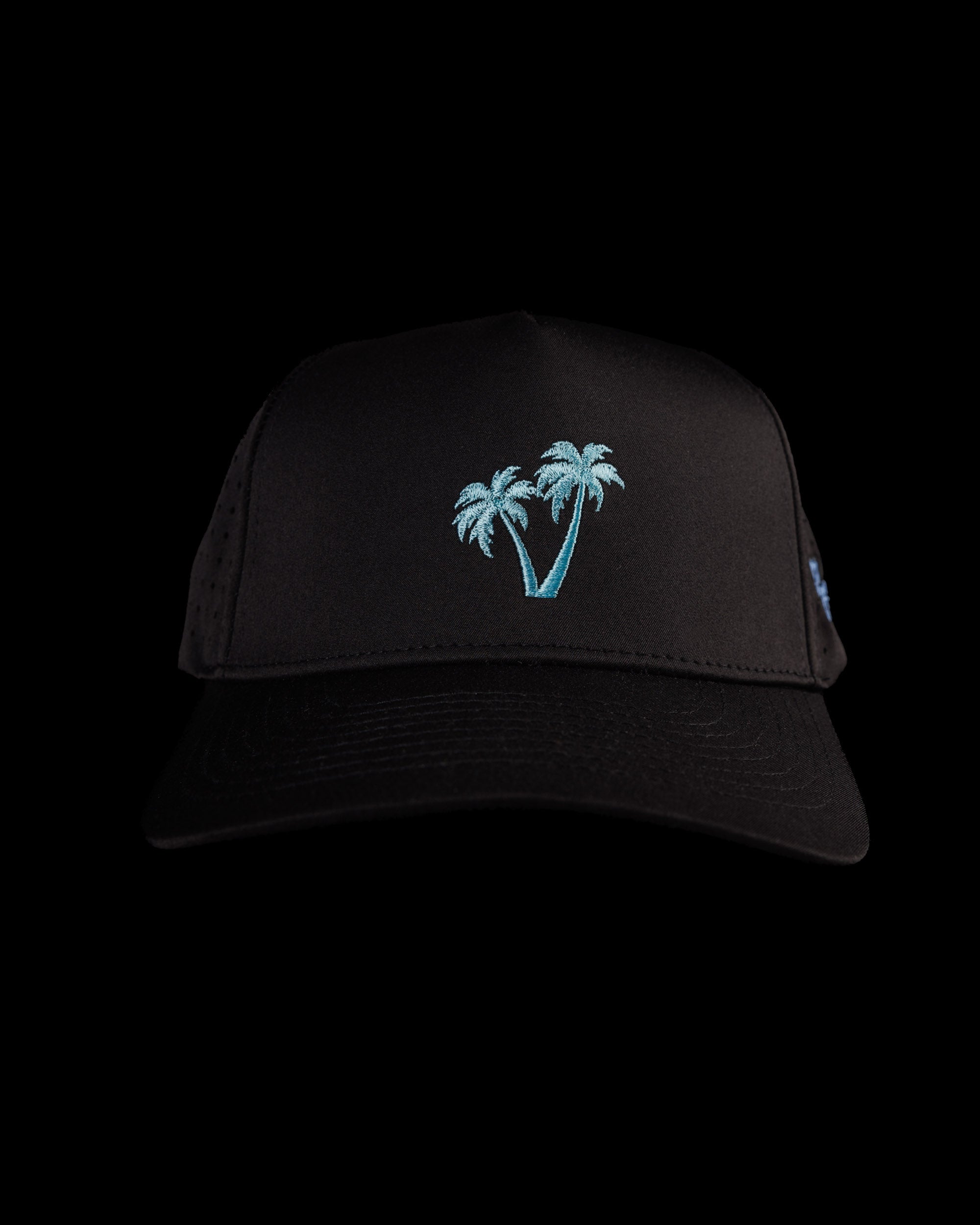 Palm Snapback - Black
