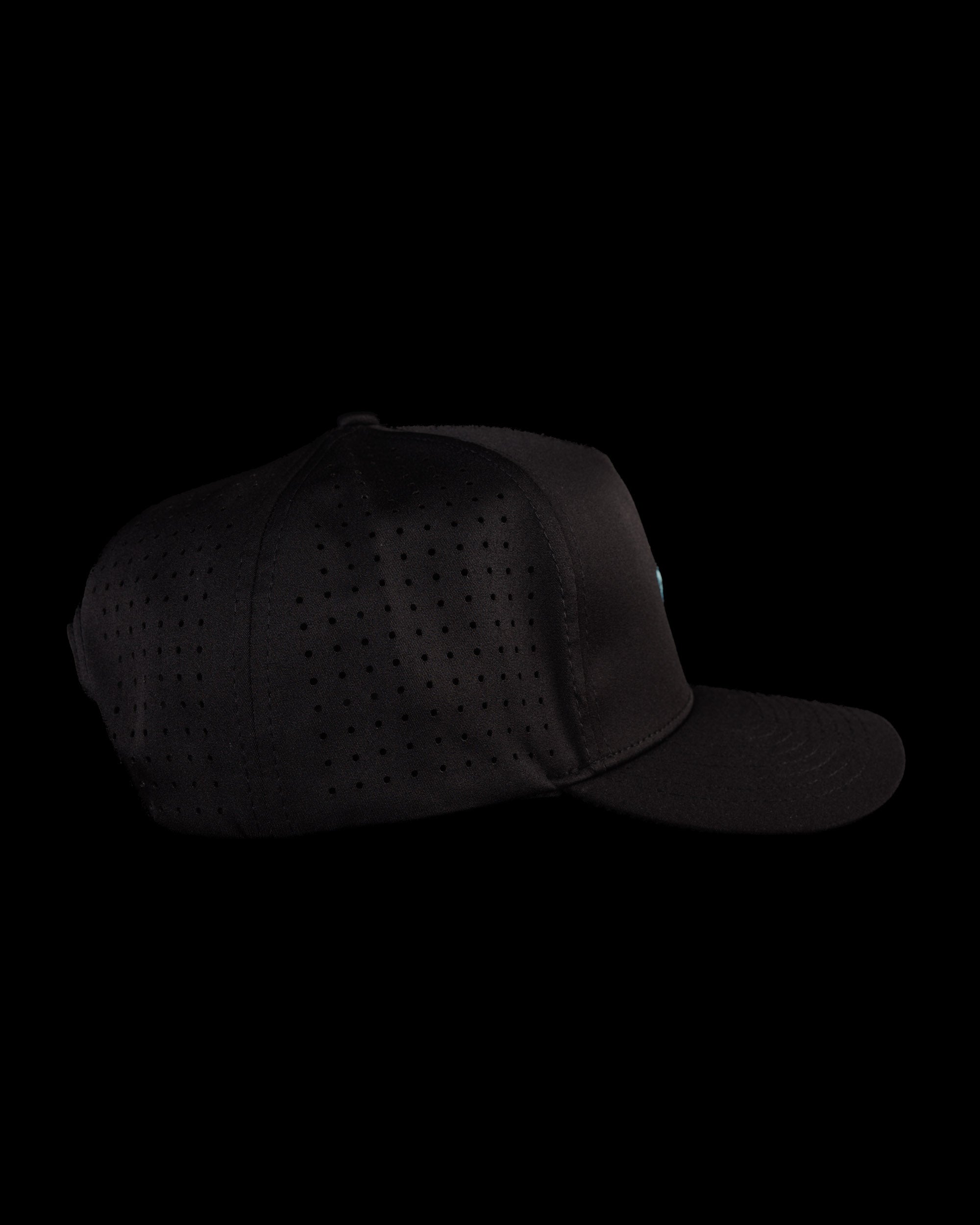Palm Snapback - Black