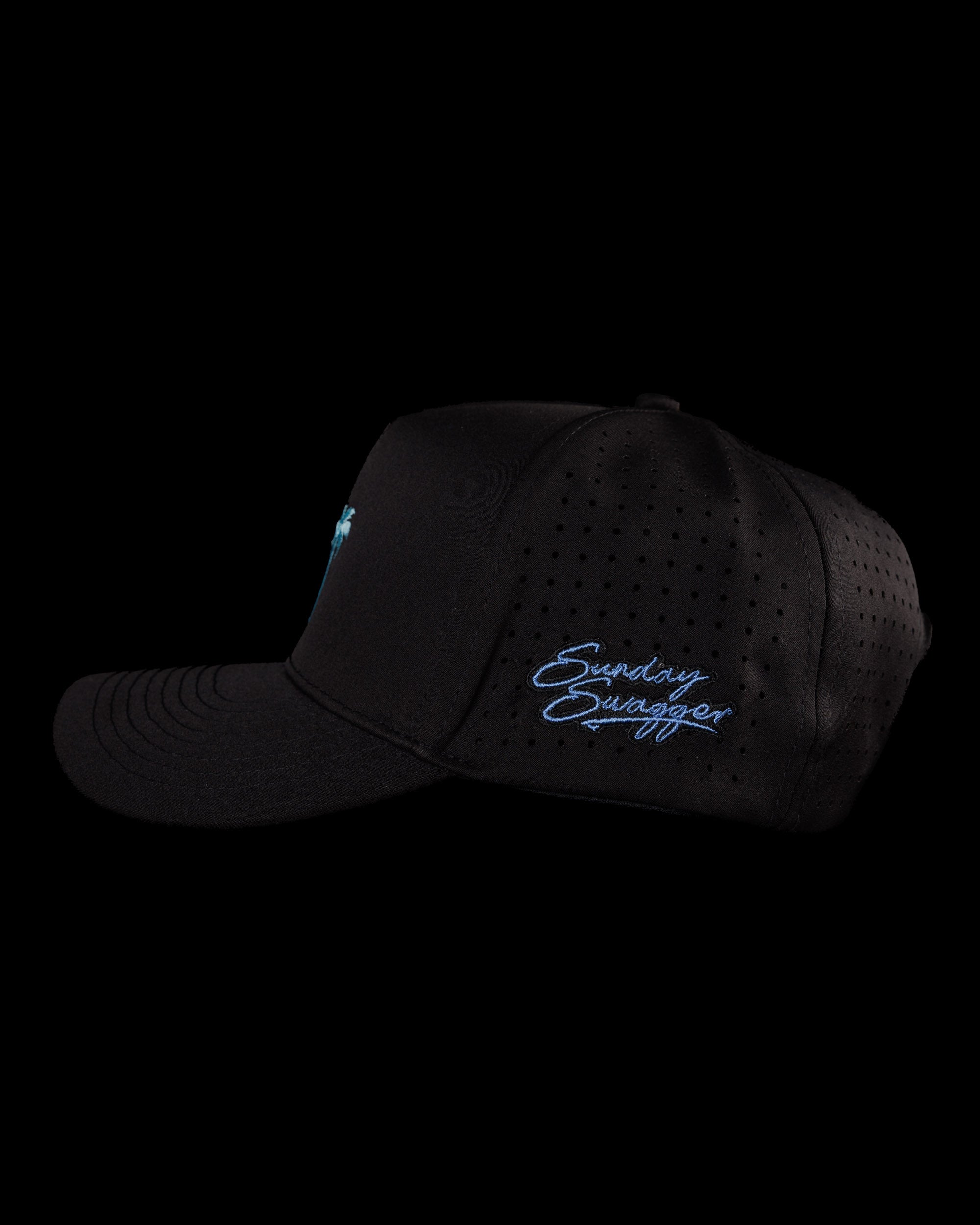 Palm Snapback - Black