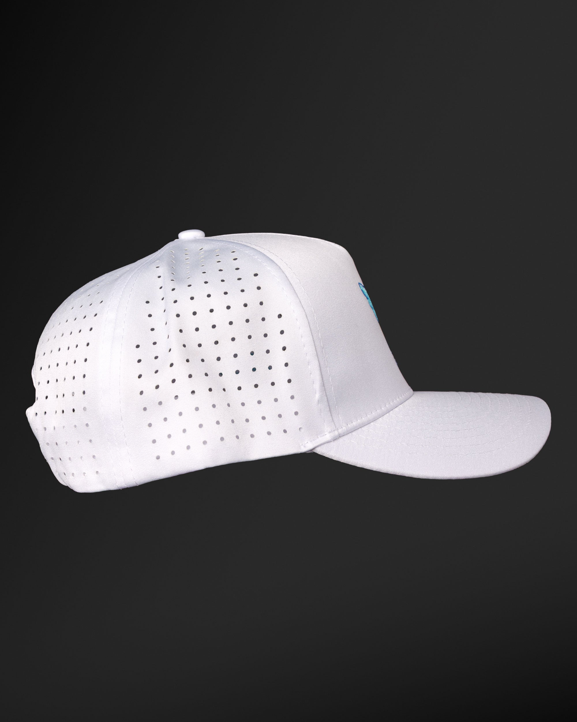 Flock Around Snapback Hat