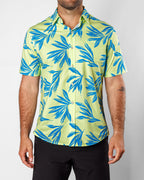 Key Lime Button Up 2.0
