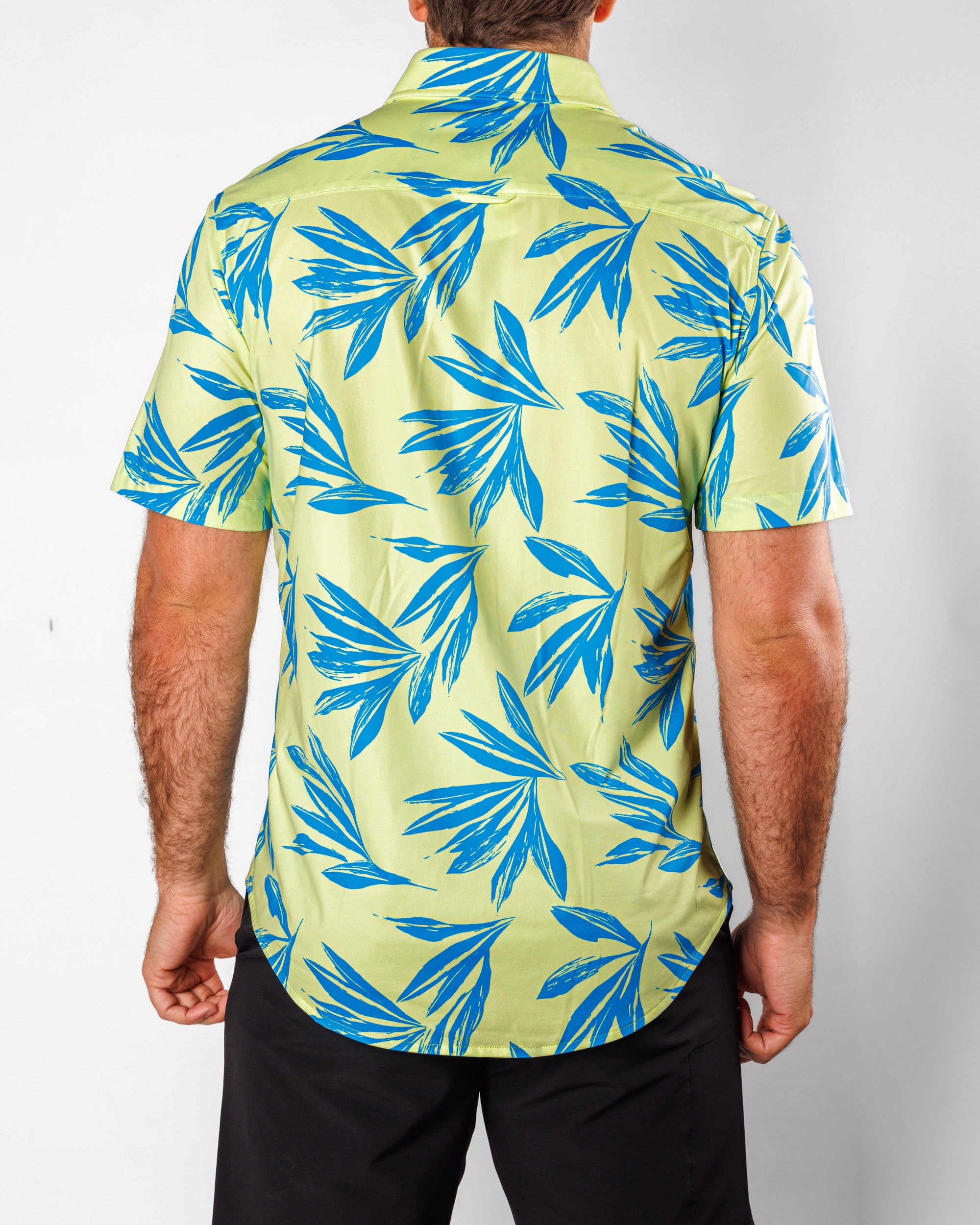 Key Lime Button Up 2.0