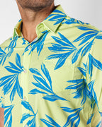 Key Lime Button Up 2.0