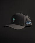 Palm Snapback - Black