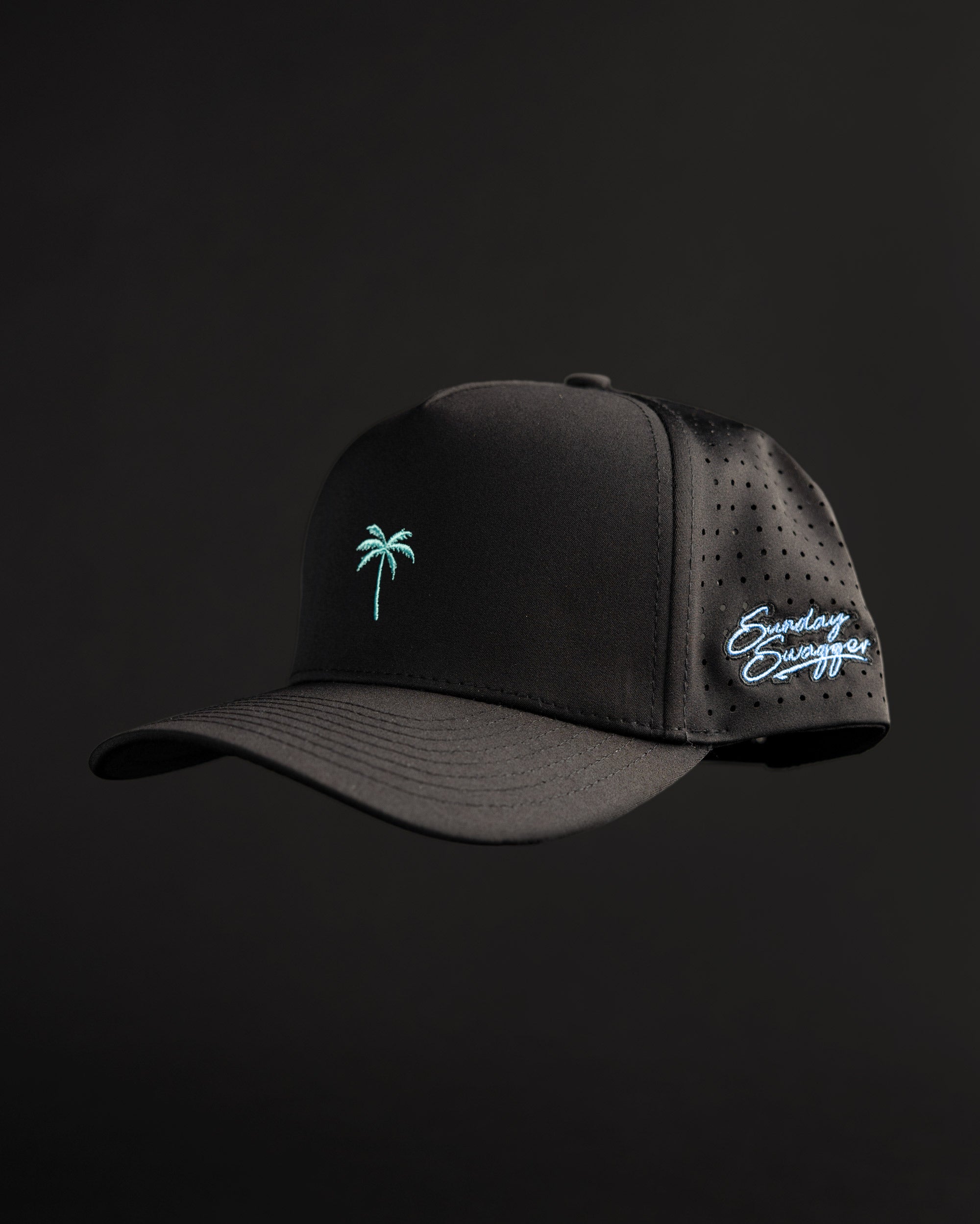 Palm Snapback - Black