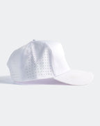 Palm Snapback - Sunglow